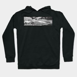 On the Border Hoodie